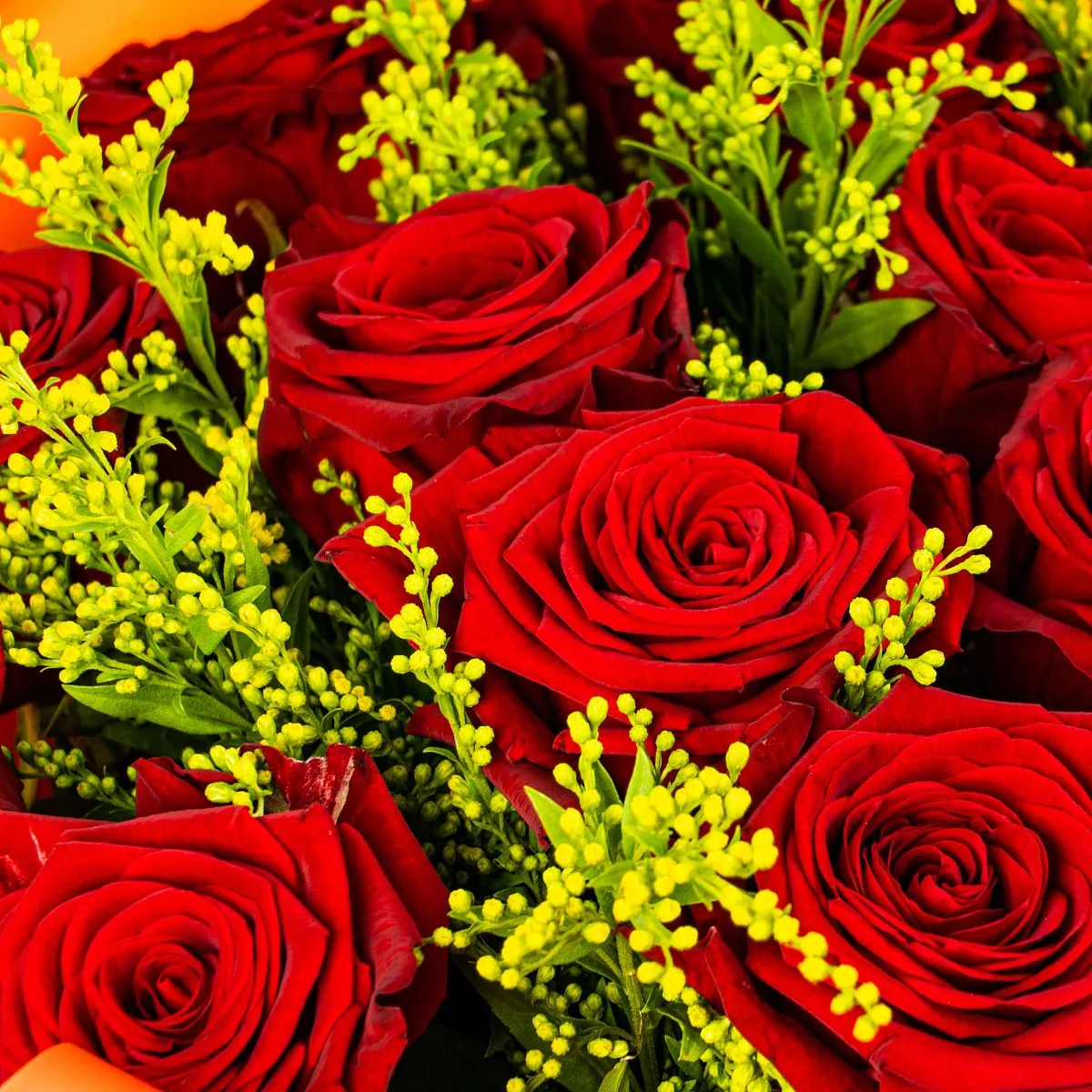 Букет из 25 роз и солидаго