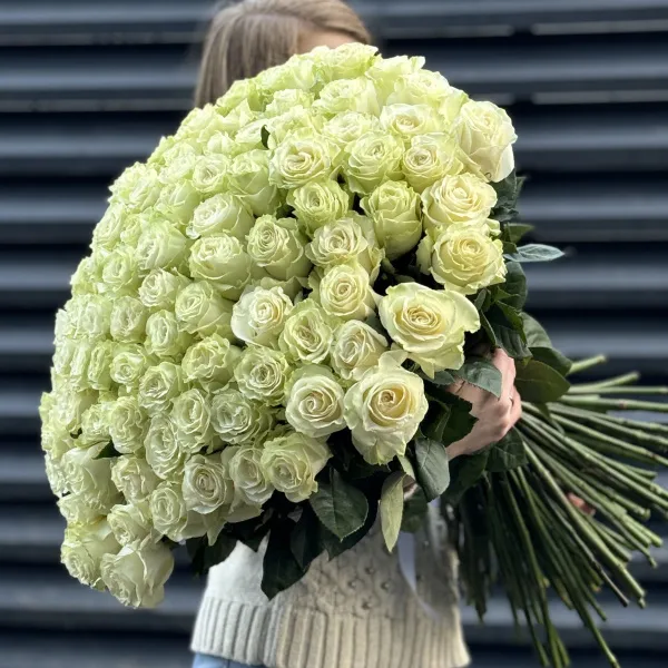 Букет 101 бело-зеленая роза эквадор (70см)