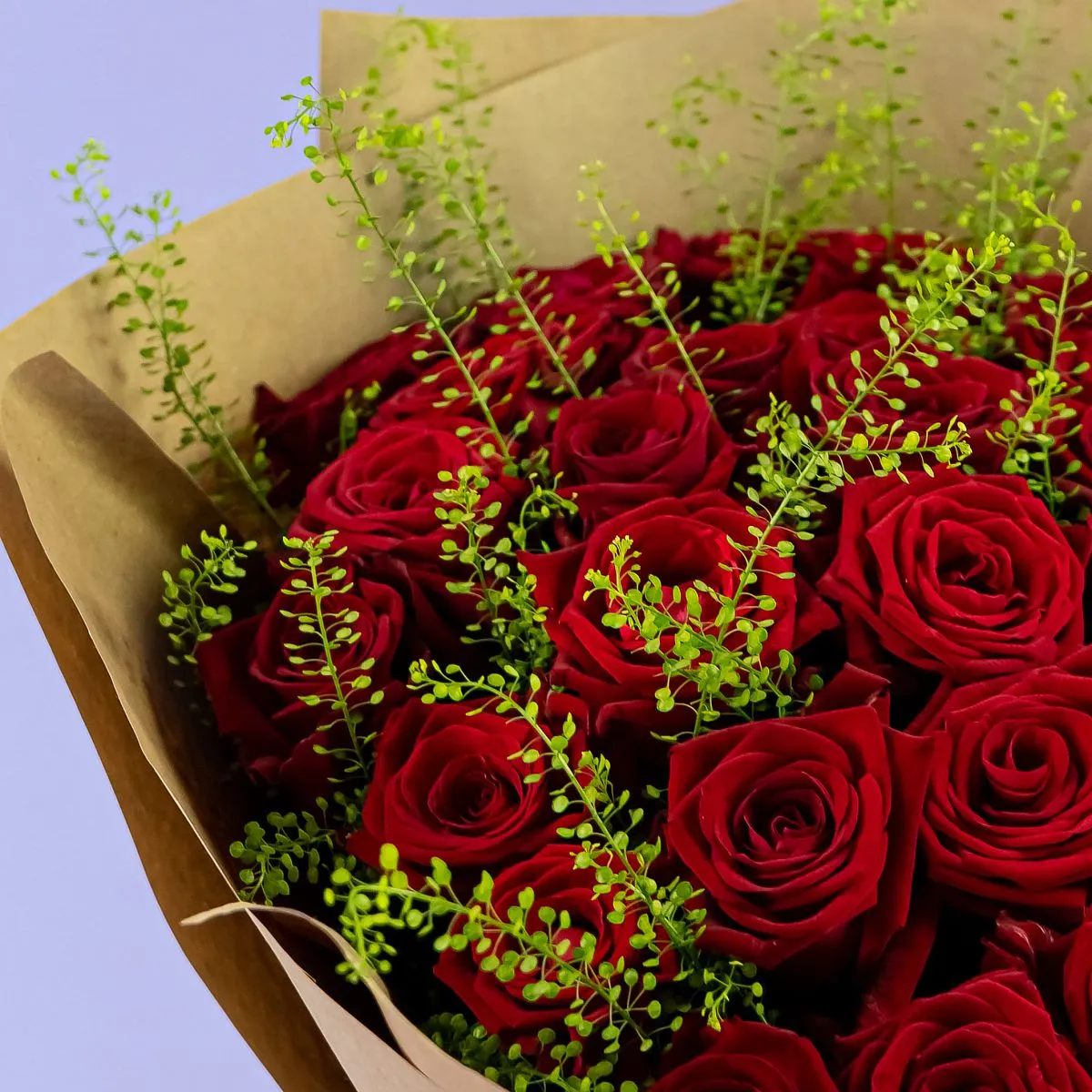 Букет из 35 бордовых роз