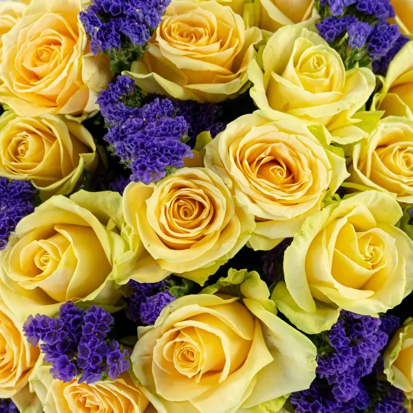 Букет из 31 розы и статицы