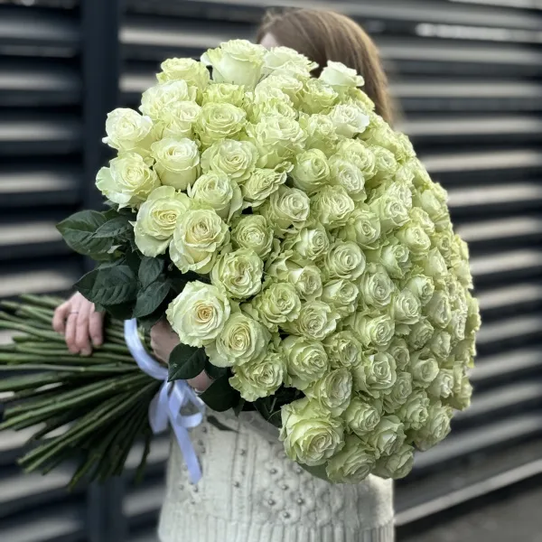 Букет 101 бело-зеленая роза эквадор (70см)