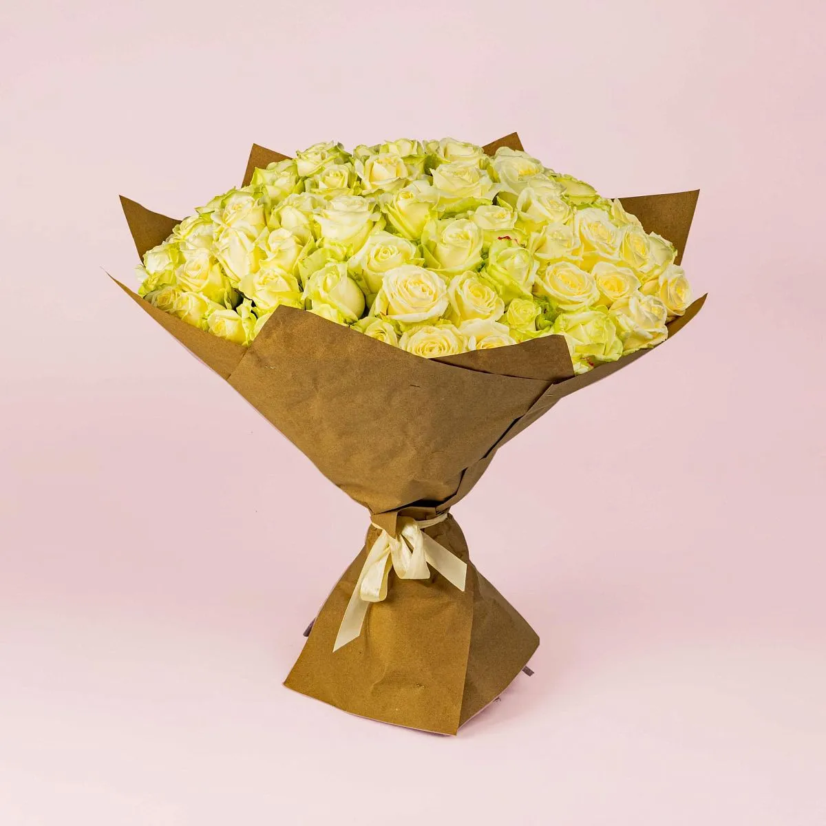 101 бело-зеленая роза (50 см)