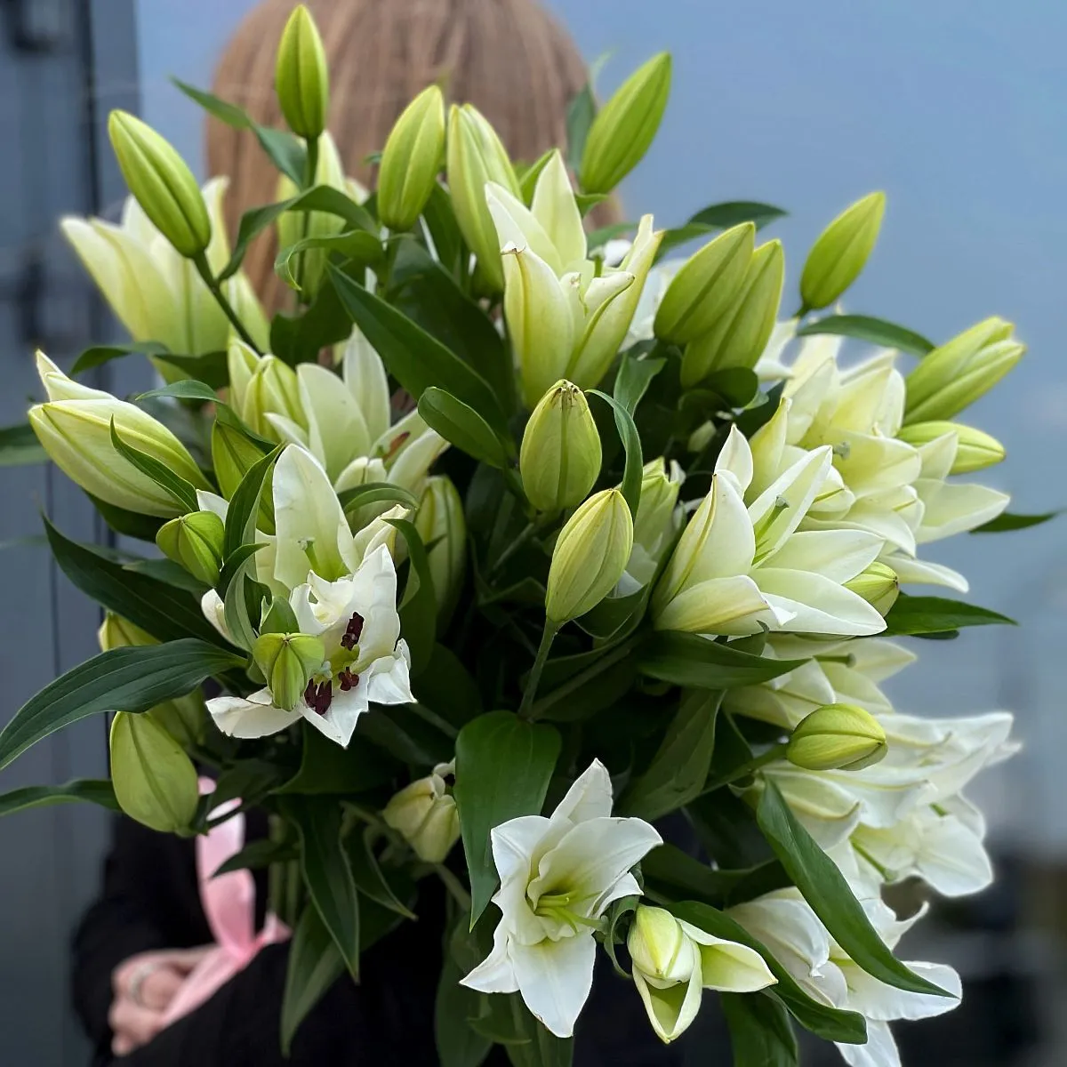 9 бело-зелёных лилий