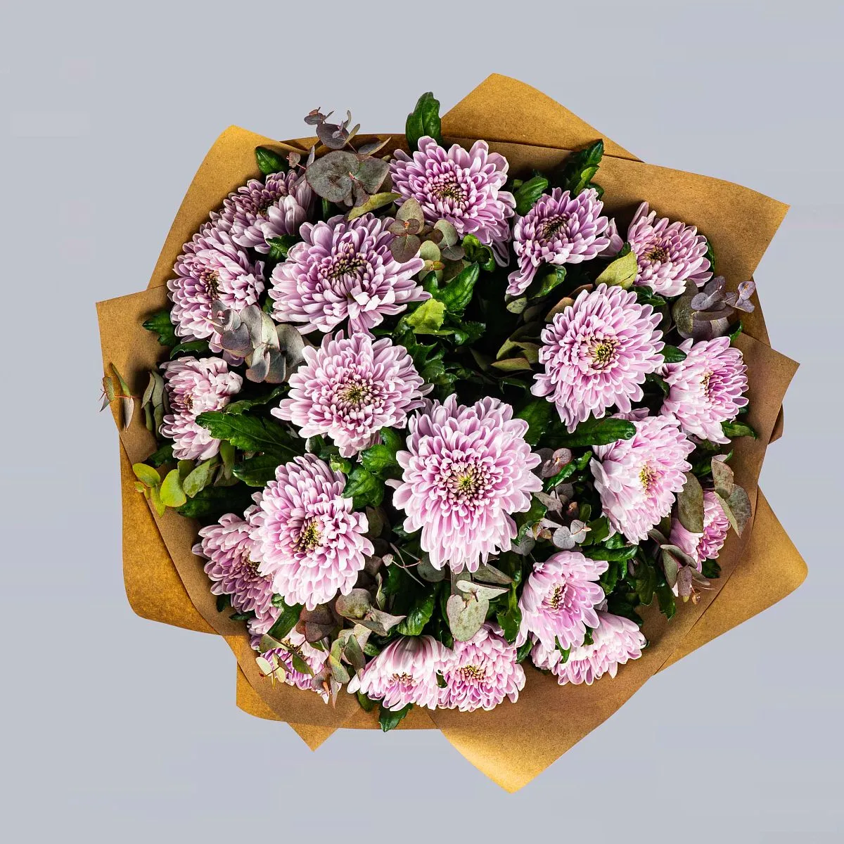 21 розовая хризантема