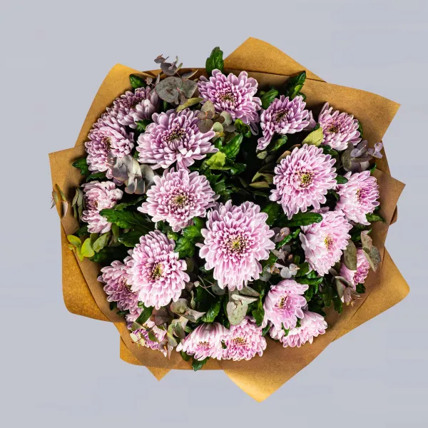 21 розовая хризантема