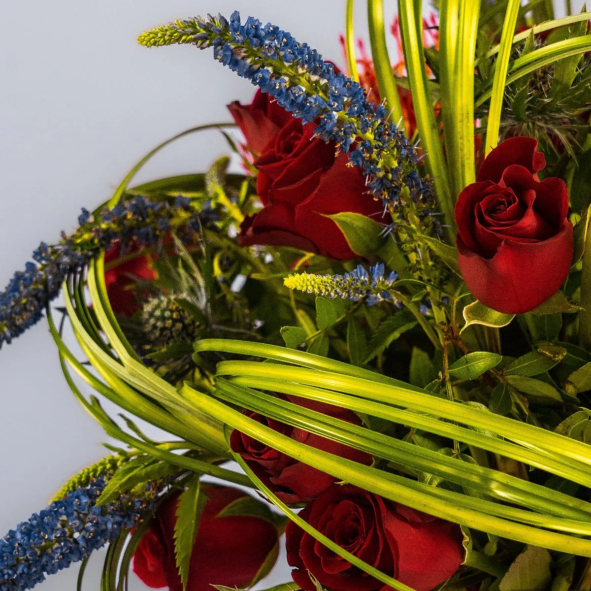 Красные розы и протея в коробке