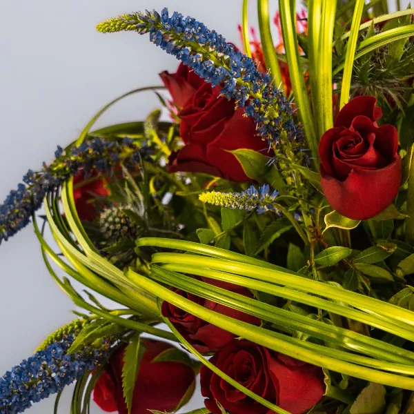 Красные розы и протея в коробке