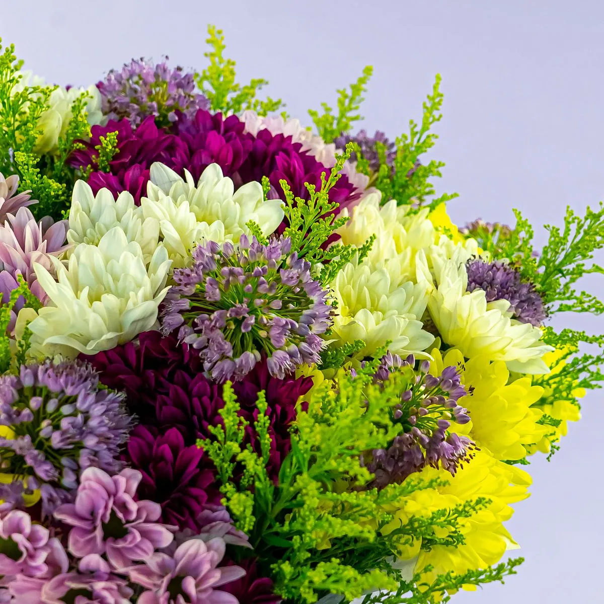 Букет из 25 хризантем микс и аллиума