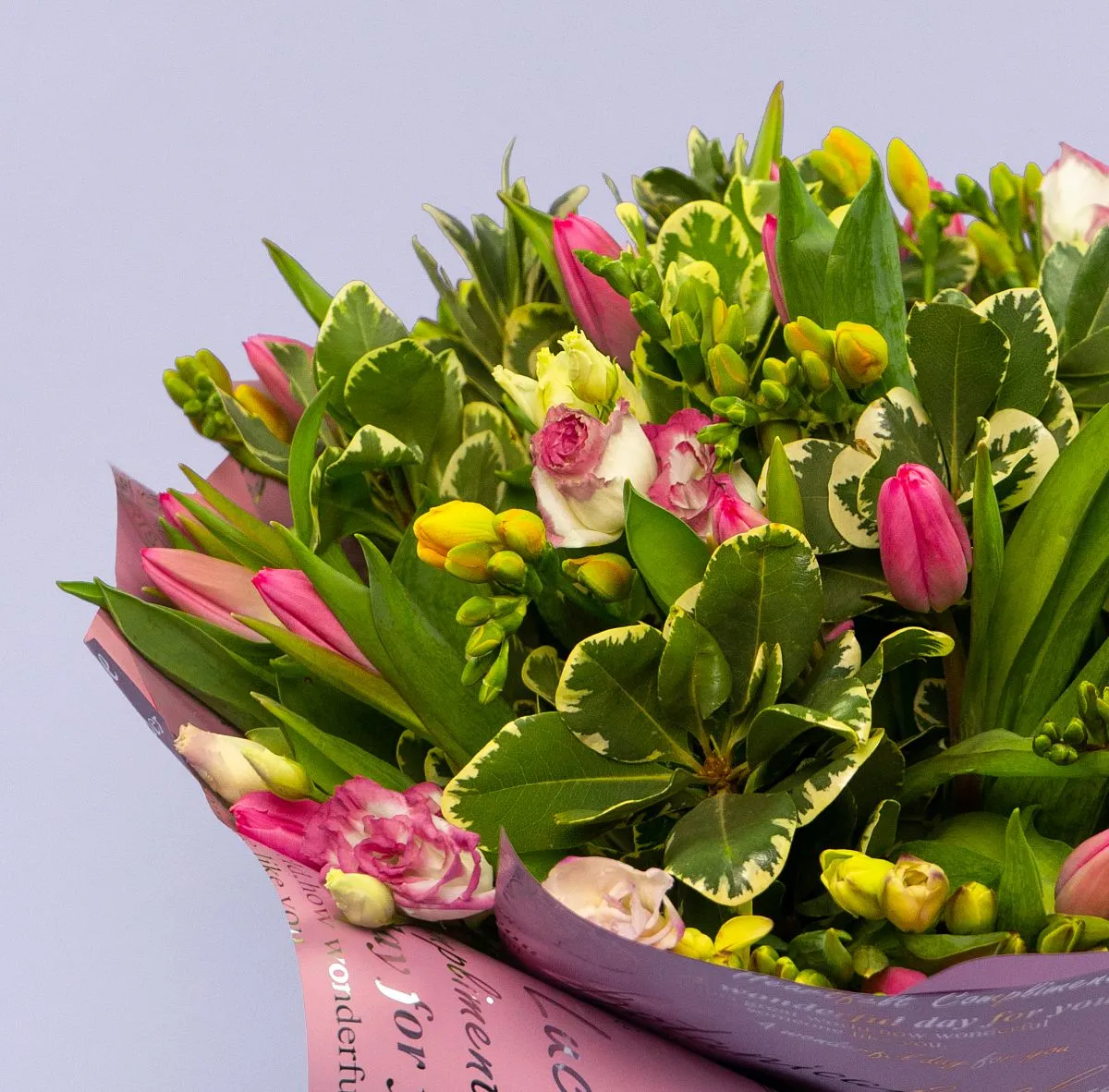 Букет из 25 тюльпанов и фрезий