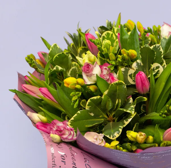 Букет из 25 тюльпанов и фрезий