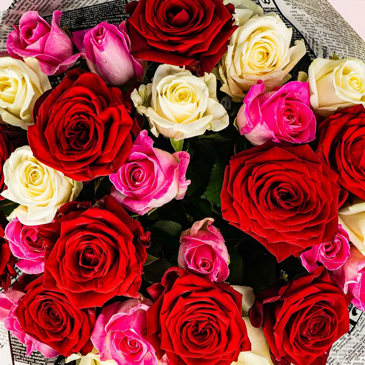 21 роза микс (60 см )