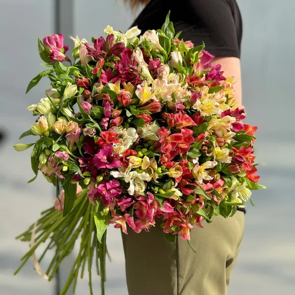 29 альстромерии