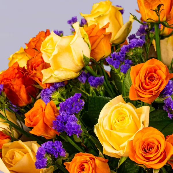 29 роз и статица