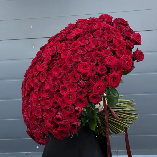 301 красная роза (70 см)