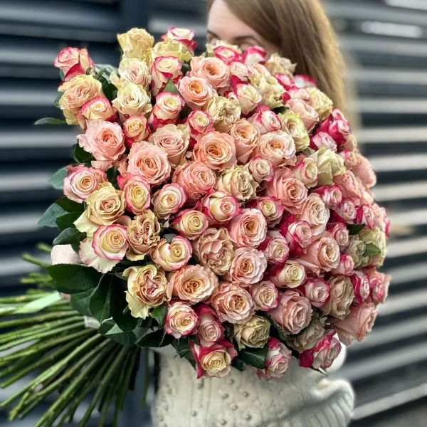 Букет 101 бело-розовая роза эквадор (70см)