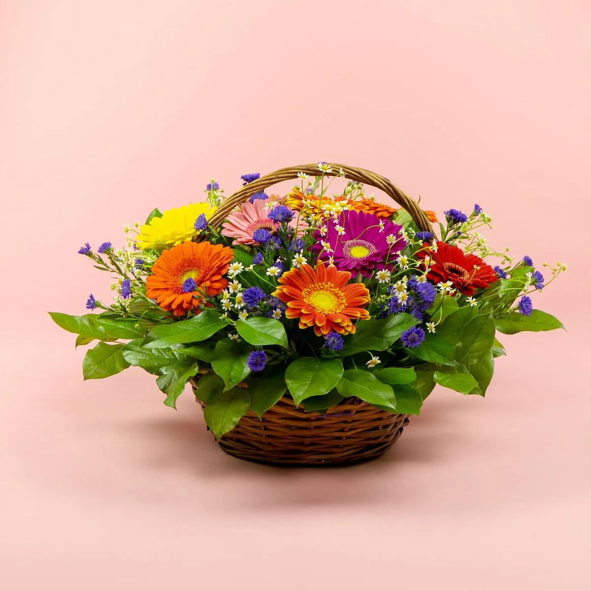 Герберы и ромашеки в корзине