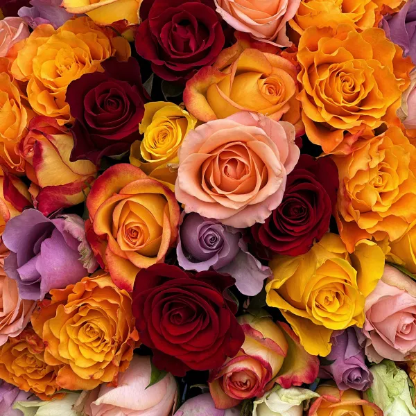 65 роз микс (35 см)