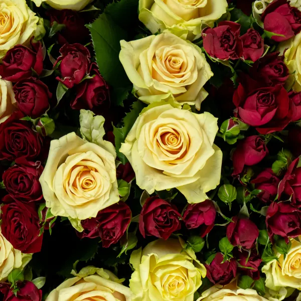 Букет из роз микс «Завиток»