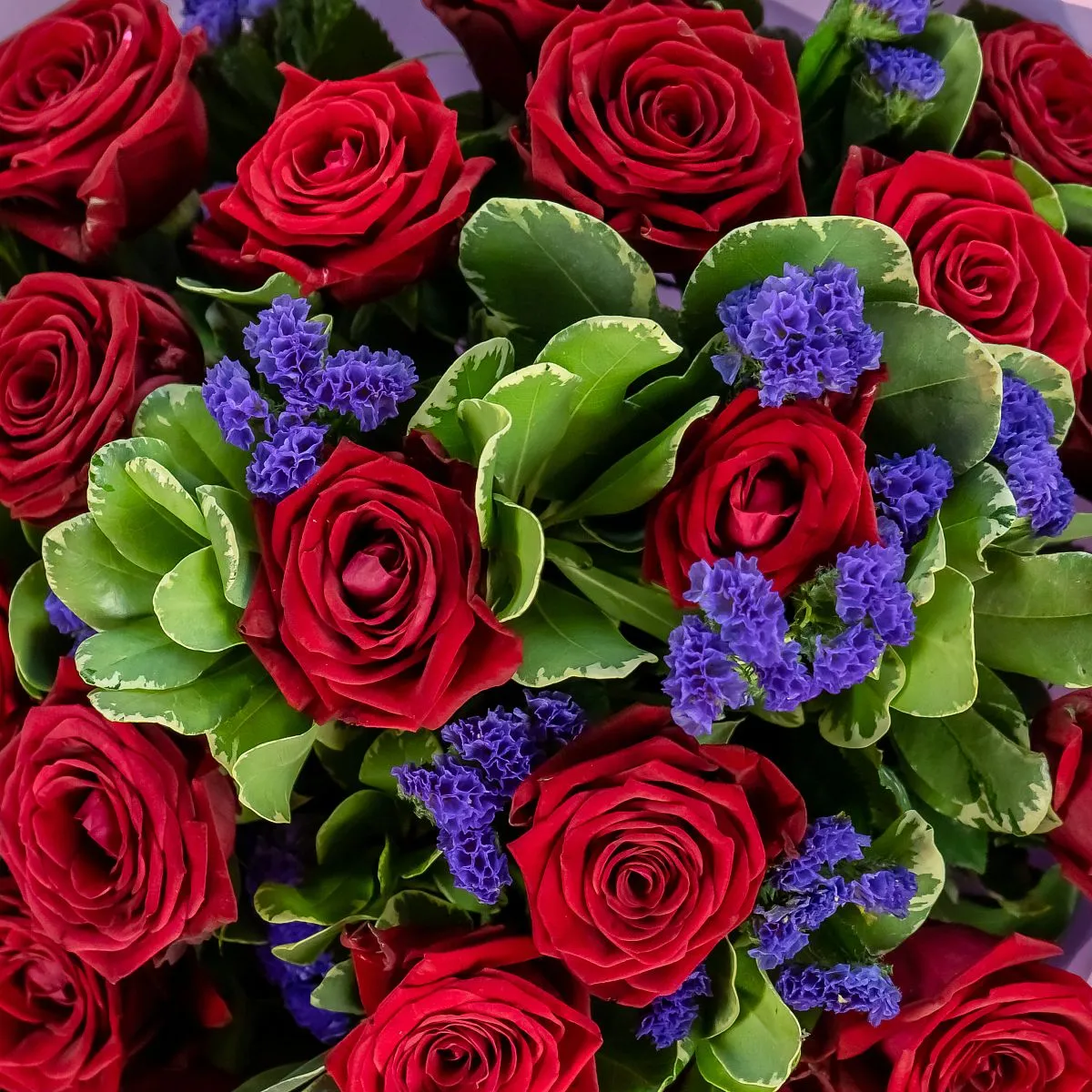 Букет из красных роз и статицы