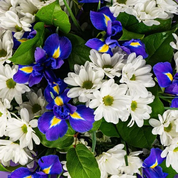 Букет из ирисов и хризантем