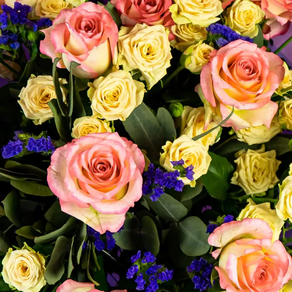 Букет из 19 роз микс и статицы