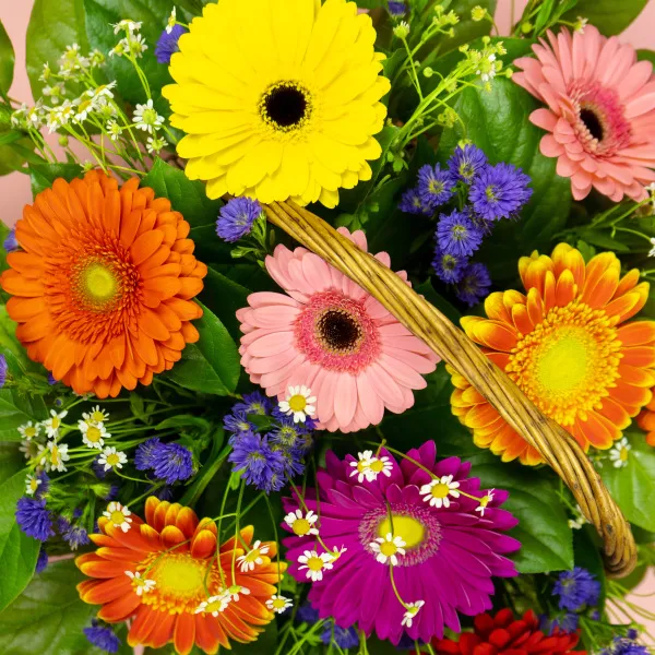Герберы и ромашеки в корзине