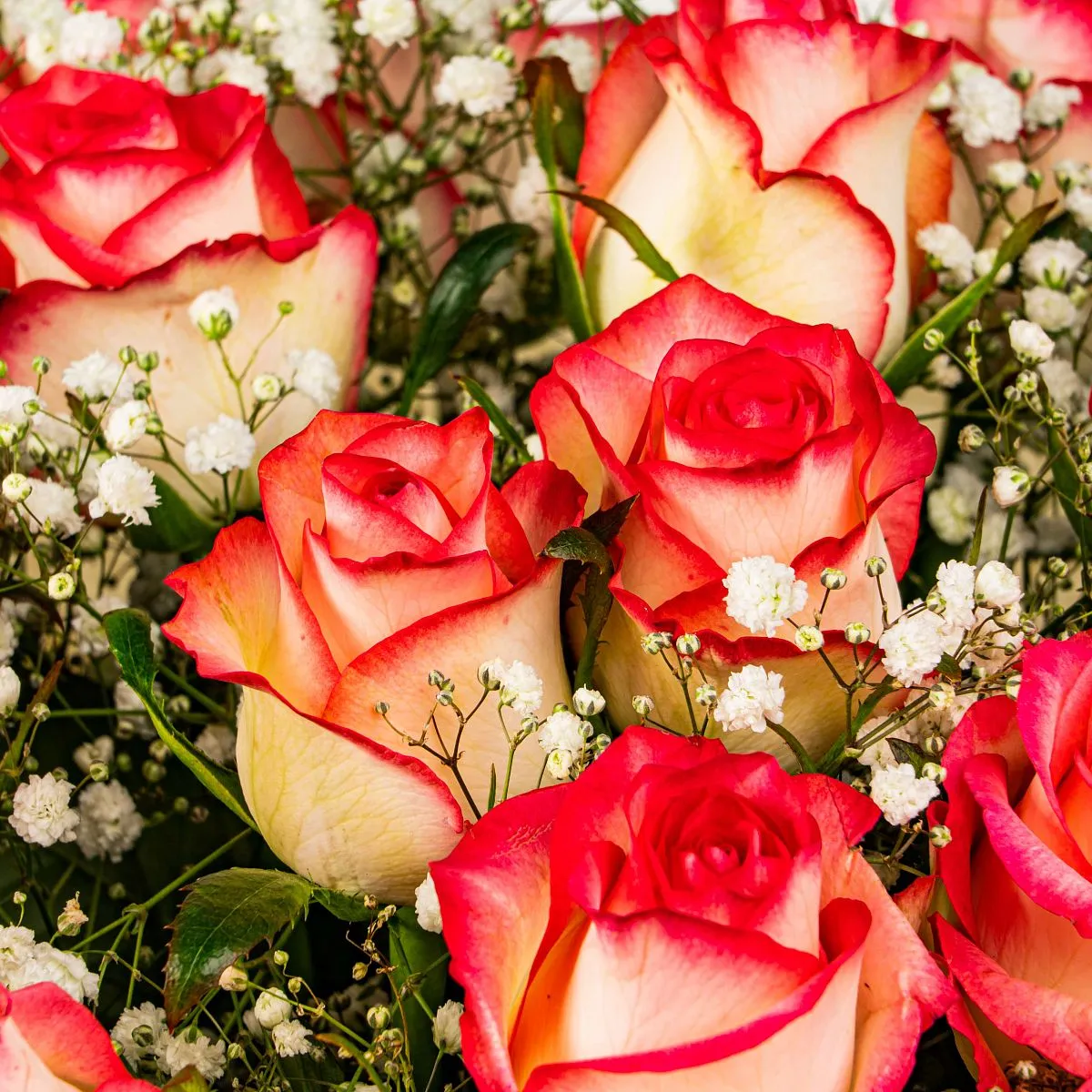 Букет из роз и гипсофилы