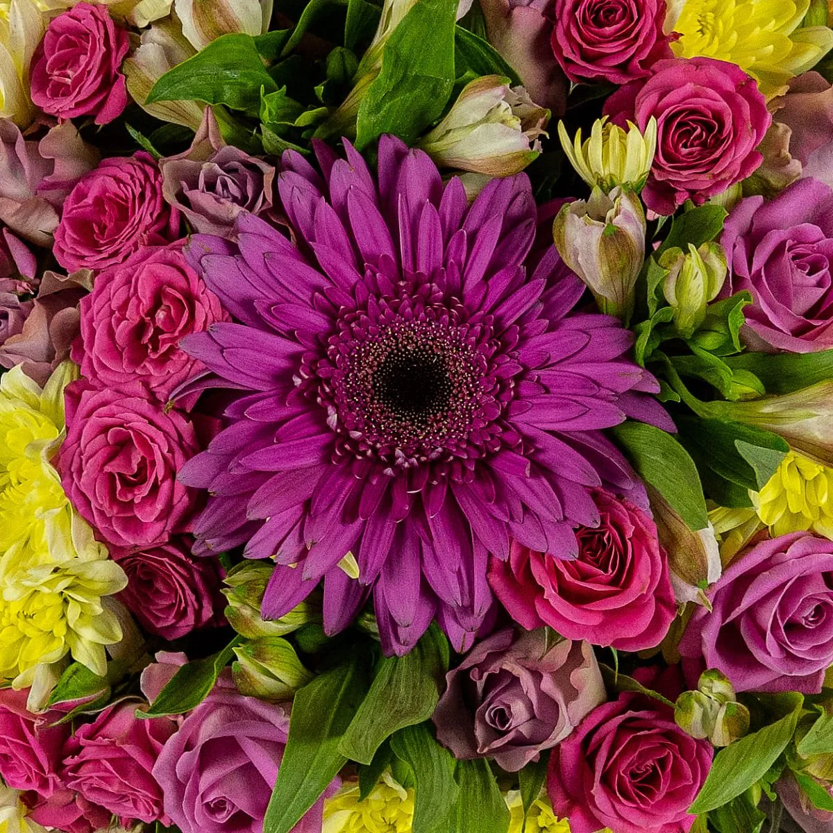 Розы микс, хризантемы, гербера в коробке