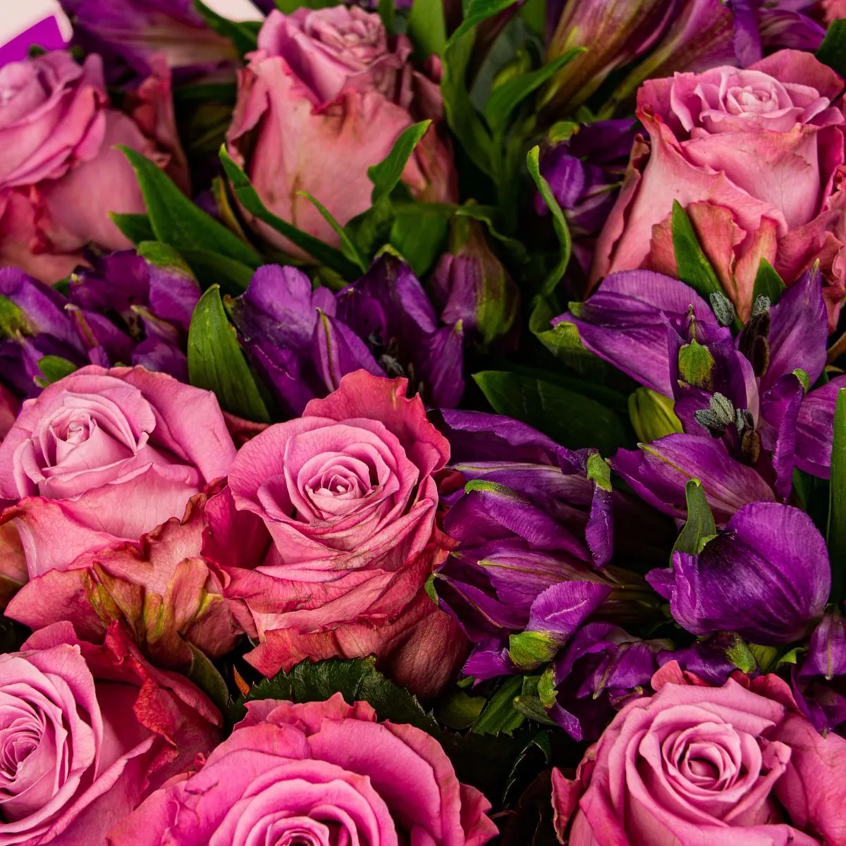 Букет из розовых роз и альстромерий