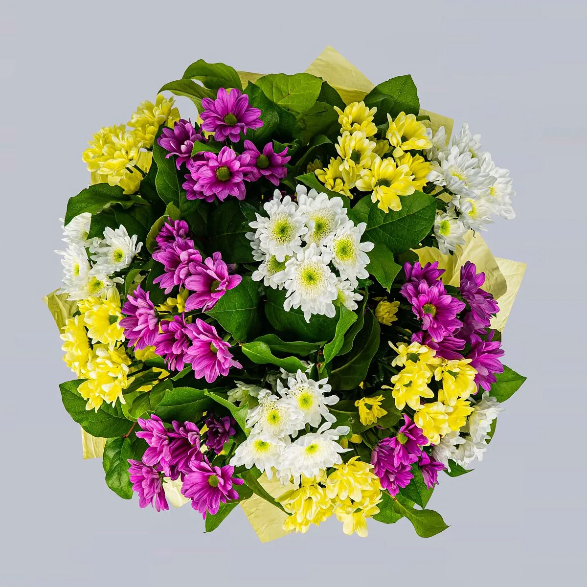 35 хризантем микс