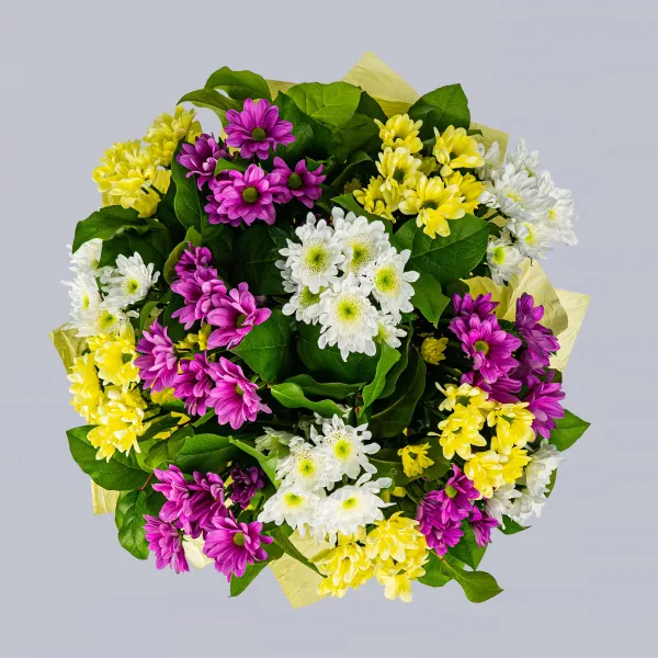 15 хризантем микс