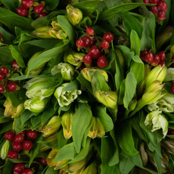 Букет из 15 альстромерий микс