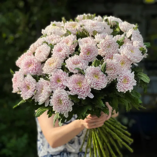 31 одноголовая хризантема