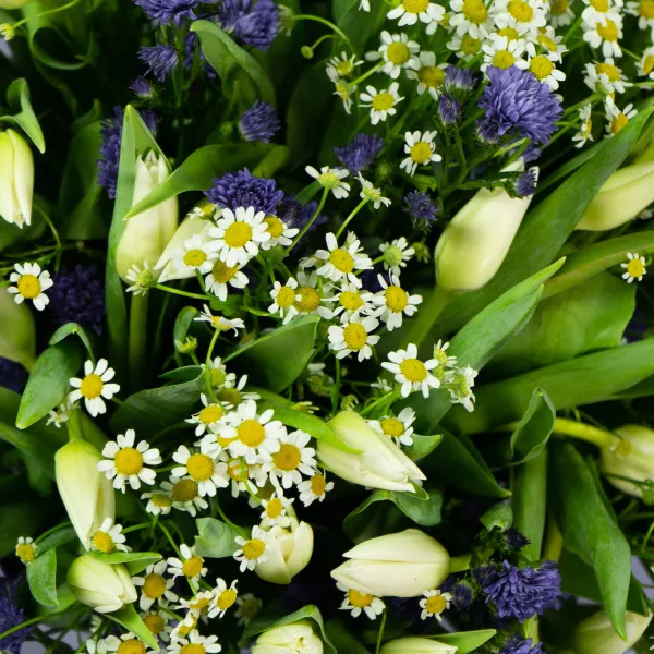 Букет из тюльпанов и ромашек