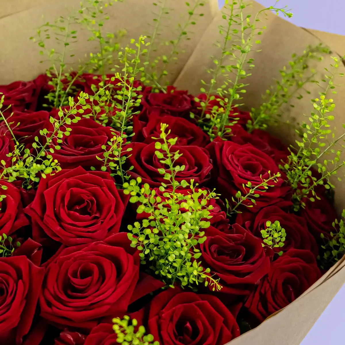 Букет из 35 бордовых роз