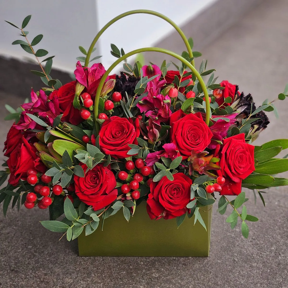 Гиперикума, протея и сафари в коробке