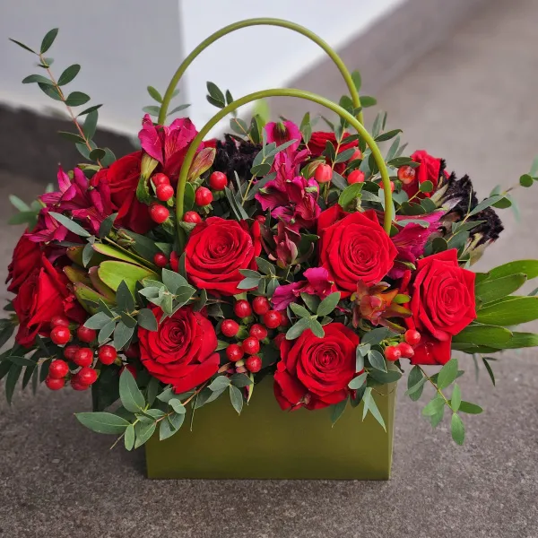 Гиперикума, протея и сафари в коробке