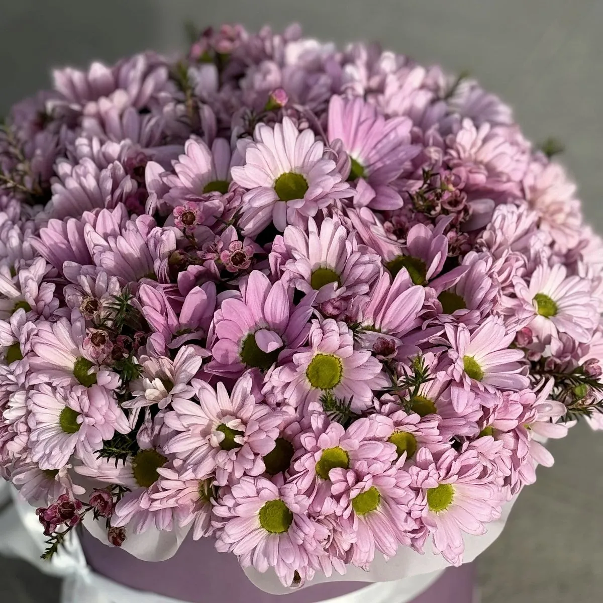 Хризантемы и хамелациума в коробке