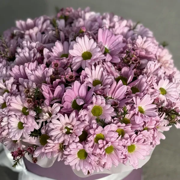 Хризантемы и хамелациума в коробке