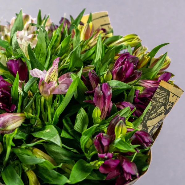 11 альстромерий