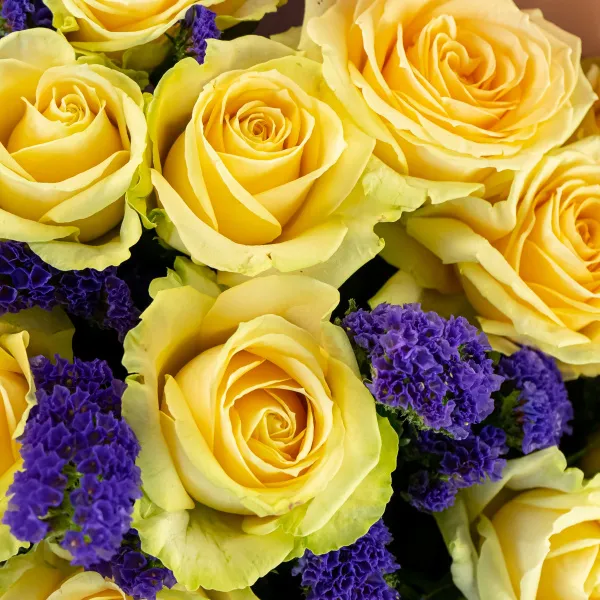 Букет из 15 роз и статицы