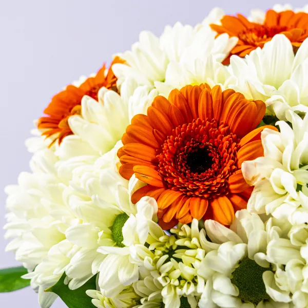 Герберы и хризантемы в коробке