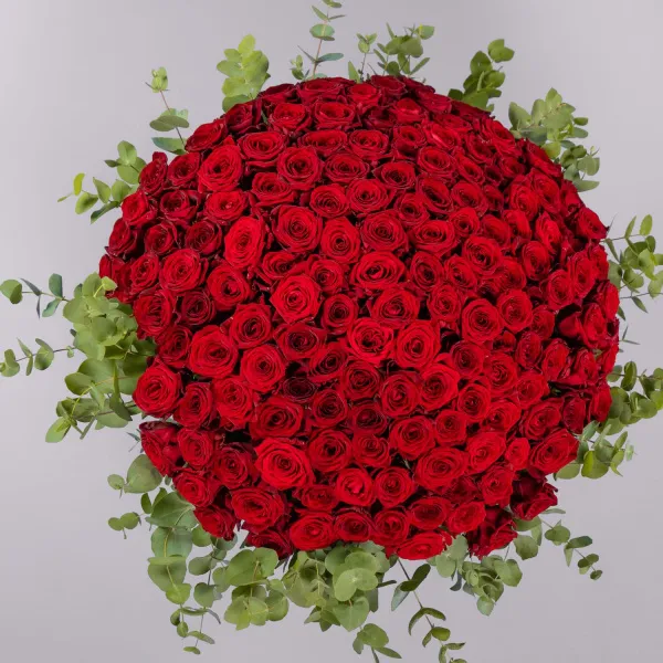 Букет из 151 розы и эвкалипта