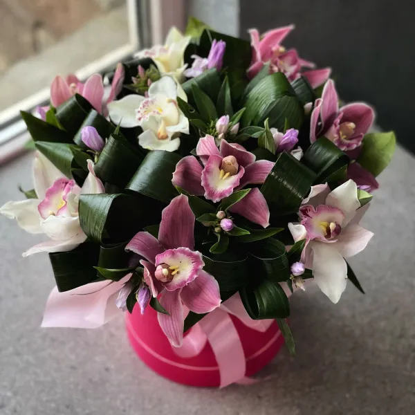 Гентиани и аспидистры в коробке