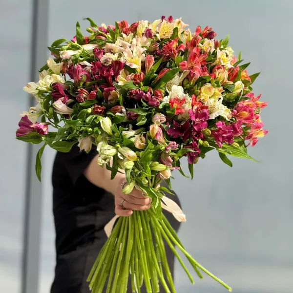 29 альстромерии