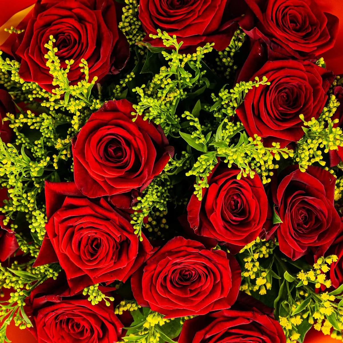 Букет из 25 роз и солидаго