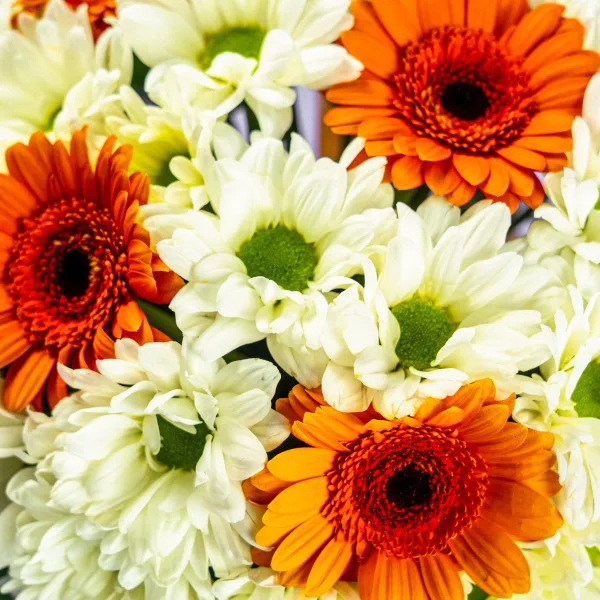 Герберы и хризантемы в коробке