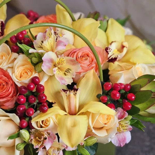 Розы, гиперикумы и сафари в коробке