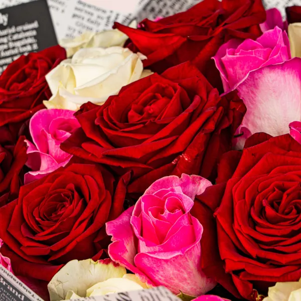 31 роза микс (60 см)