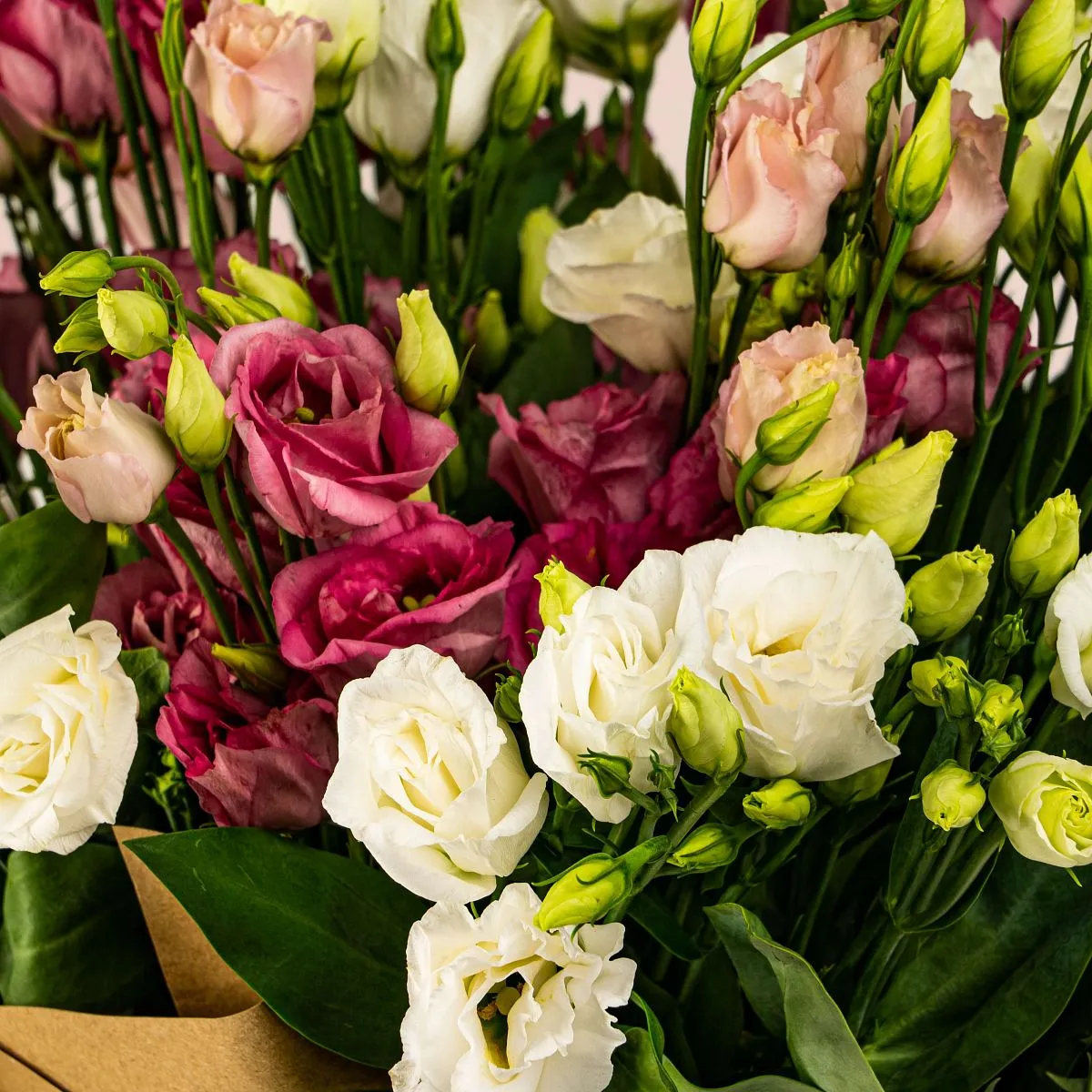 35 эустом большой